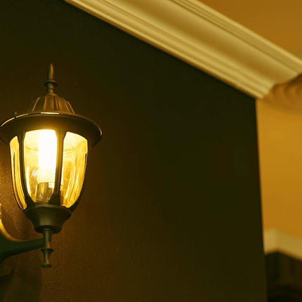 Un-Edison A19 LED Bug Light - Replaces 100W - Yellow Spectrum E26 Medium Outdoor Bulb for Porch Porch Patio and Deck - Upgrade your Old Painted Insect Bulbs to Amber Glow 2 Pack
