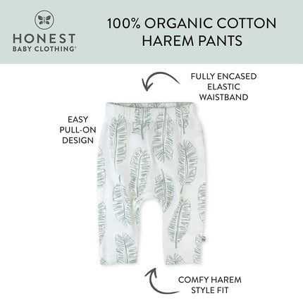 HonestBaby Multipack Harem Pants Roomy Fit Pull on Bottoms 100% Organic Cotton for Infant Baby Boys, Girls, Unisex, 3-Pack Pattern Play, 24 Months