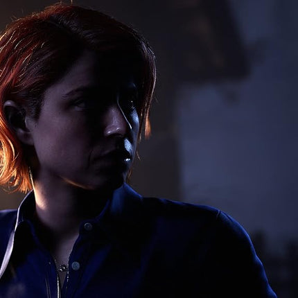 The Dark Pictures: The Devil in Me for PlayStation 4