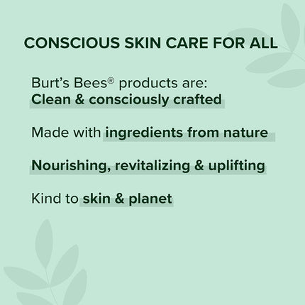 Burt�s Bees 100% Natural Satin Lipstick, Nile Nude 1 unit, 3.4 grams