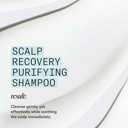 Scalp Recovery Purifying Shampoo by Nioxin for Unisex - 33.8 Shampoo