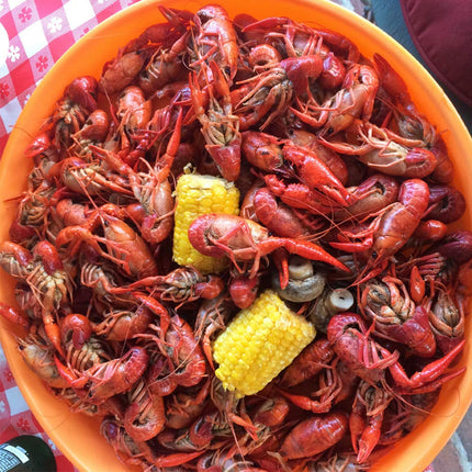 Zatarains Crawfish Shrimp & Crab Boil Catering Size Tub 2.04kg
