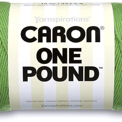 Caron One Pound Grass Green Yarn - 2 Pack of 454g/16oz - Acrylic - 4 Medium (Worsted) - 812 Yards - Knitting/Crochet