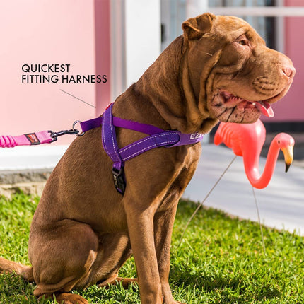 EzyDog Quick Fit Dog Harness - Easy to Fit Walking Harnesses for Small, Medium and Large Dogs - Neoprene Sleeve, Accessory D-Ring, Reflective (M, Pink)