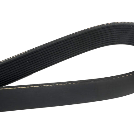 Continental 4100975X 10 Ribs 97.50" Multi-V Belt