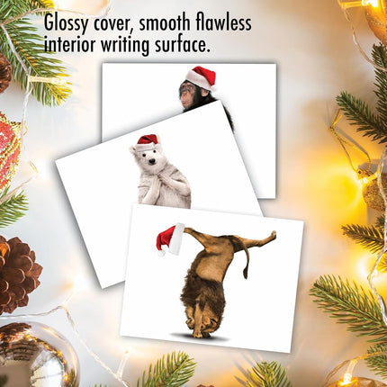 Yuletide Zoo Yoga Christmas Greeting Cards, Boxed Set of 10 Holiday Animals in Yoga Poses 4 x 5.12 inch, Assorted Yogi Animal Cards with Envelopes, Zoo Creature Christmas Notes, M6547XSG
