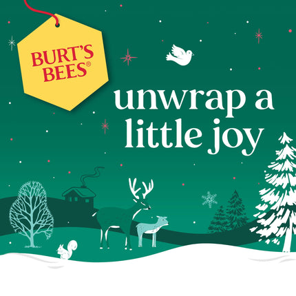 Burt's Bees Gift Set for Lip & Body, Vanilla Bean Lip Balm & Mini Milk & Honey Body Lotion, Hive Favorite Limited Edition