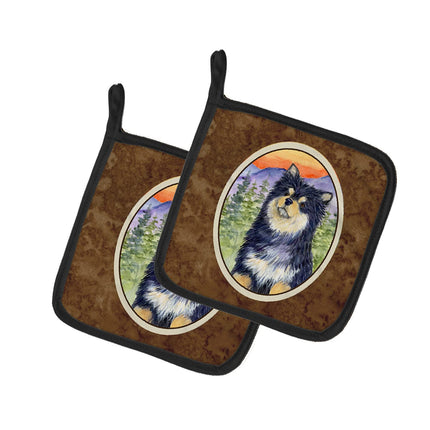 Caroline's Treasures Finnish Lapphund Pair of Pot 