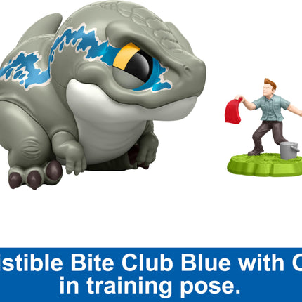 Mattel Jurassic World Bite Club Collectible Figure, Velociraptor 'Blue' Chubby Stylized Dinosaur Approx 4-Inch Figure with Accessory (HVB37)
