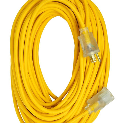 Coleman Cable 01289 Rallonge d'extérieur isolée 16/3 de 30 mètres avec extrémité lumineuse