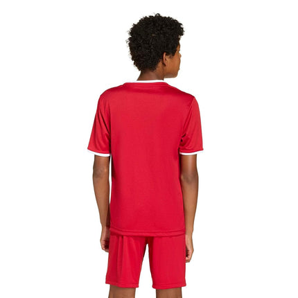 adidas Boys Entrada 26 Jersey