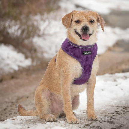 Aerolite No Pull Mesh Dog Harness with Lightweight, Soft, Breathable Chest Coverage, Reflective Stitching, and Adjustable Straps for Walking, Running, Training, Heavy Duty and Durable - Purple, XS
