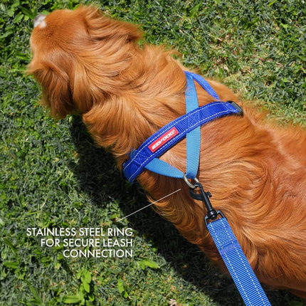 EzyDog Quick Fit Dog Harness - Easy to Fit Walking Harnesses for Small, Medium and Large Dogs - Neoprene Sleeve, Accessory D-Ring, Reflective (M, Pink)