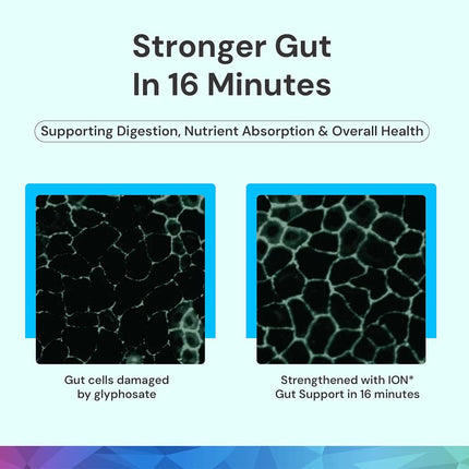 ION Gut Health Supplement 236ml – Digestive Wellness