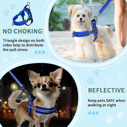 Lukovee Dog Leashes for Small Dogs, Lightweight Soft Small Dog Harness Neck & Chest Adjustable, Reflective Harness Anti-Twis Puppy Harness Vest Harness (Meduim, Blue)