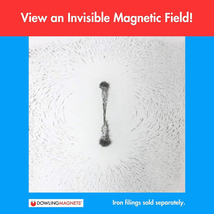 Dowling Magnets DO-731013 Science Magnets Alnico Cow Magnet