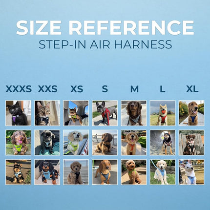 Voyager Step-in Air All Weather Mesh Harness and Reflective Dog 5 ft Leash Combo with Neoprene Handle, for Small, Medium and Large Breed Puppies by Best Pet Supplies - Set (Baby Blue), S