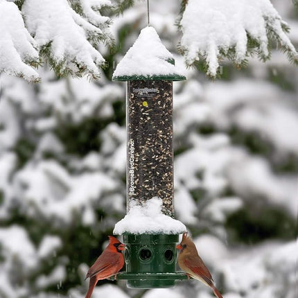 Jacobi Jayne 1024-V01 Feeder Buster Plus-Marauders Off Guaranteed Squirrel and Large Bird Proof/Metal, Green