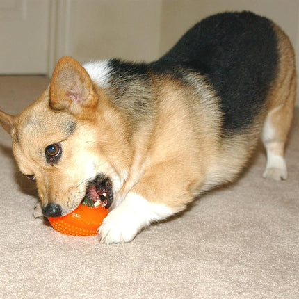 Starmark Everlasting Treat Bento Ball Tough Dog Chew Toy Small