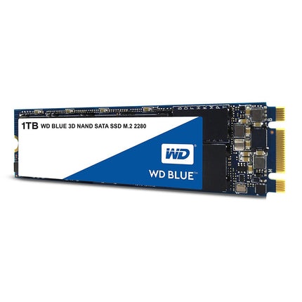 WD Blue 3D NAND Internal SSD M.2 SATA - 1 TB, Blue
