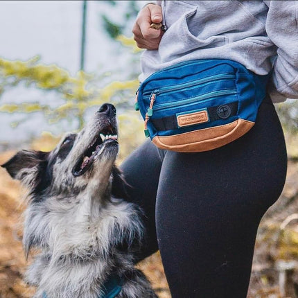Wilderdog Utility Fanny Pack stores Treats, Balls, Keys in 3 Pockets with adjustable strap and Poop Bag dispenser, Pacific Blue, one size, Dog Walking Fanny Pack