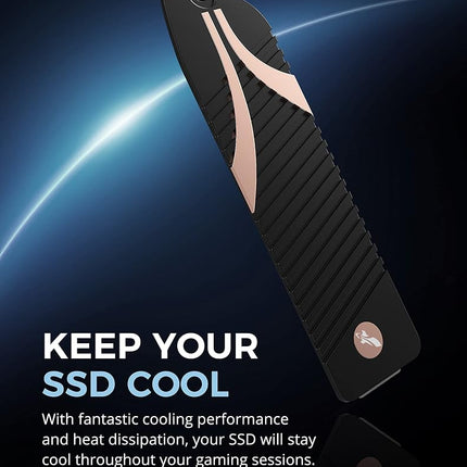 SABRENT M.2 NVMe Heatsink for PS5 with Thermal Silicone Pad