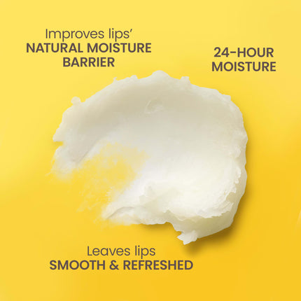 Burt's Bees Gift Set for Lip & Body, Vanilla Bean Lip Balm & Mini Milk & Honey Body Lotion, Hive Favorite Limited Edition