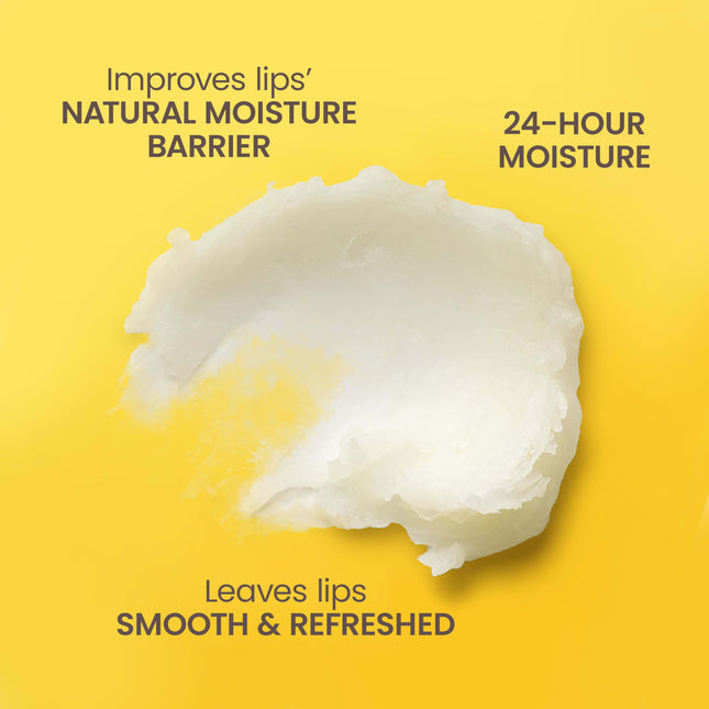 Burt's Bees Gift Set for Lip & Body, Vanilla Bean Lip Balm & Mini Milk & Honey Body Lotion, Hive Favorite Limited Edition