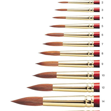 Winsor and Newton Sceptre Gold Watercolour Round Brush size 16