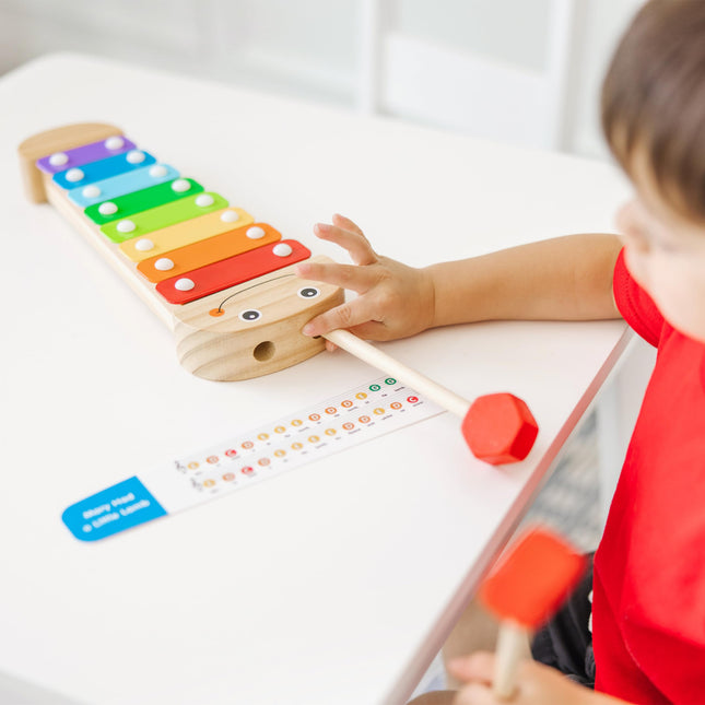 Xylophone chenille