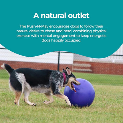 Jolly Pets Push-n-Play Dog Toy, 25 cm, Blue