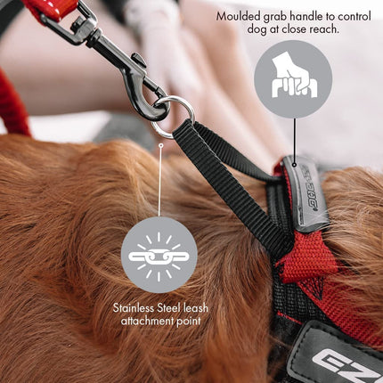 EzyDog Express Harness - Comfortable Dog Harness for Small, Medium and Large Dogs, Easy to Fit, Padded, Reflective (XS, Black)