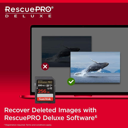 SANDISK Extreme PRO SDXC card 256GB (SD card, up to 200MB/s, V30 Memory Card, 4K UHD, SANDISK QuickFlow Technology, RescuePro Deluxe Data Recovery Software, UHS-I, Class 10, U3, V30)