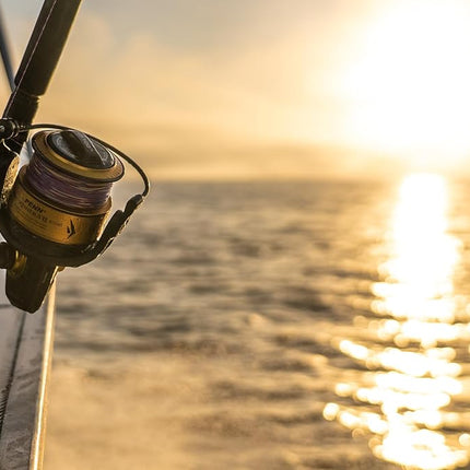 PENN Spinfisher VII Spinning Reel, Fishing Reel, Sea Fishing Reel With IPX5 Sealing That Protects Against Saltwater Ingression, Caters for different Species, Unisex, Black Gold, 5500