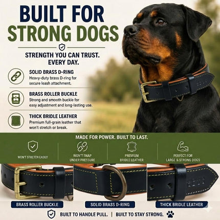 DowgClub Leather Dog Collar | Leather Collar for Small Dogs, .75 Inch Wide Black Dog Collar | Genuine, Full Grain, Heavy Duty, Comfortable, Inner Soft Padding (S (Neck Size 11.5"-14.5"), Black)