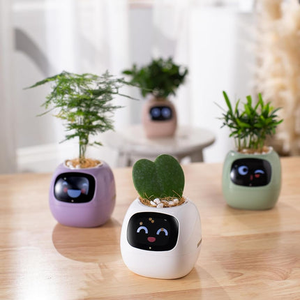 PLANTSIO Smart pet Planter Robot Guidance on Plant Care with Emojis, Adorable Plant Companion with Rich Gesture Interaction, Neat Desk Setup Gift (Rose)