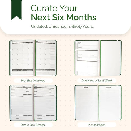 Panda Planner Pro - Best Daily Planner for Happiness & Productivity - 8.5 x 11" Softcover - Undated Day - Guaranteed to Get You Organized - Gratitude & Goals 6 Month Journal (Dark Green)