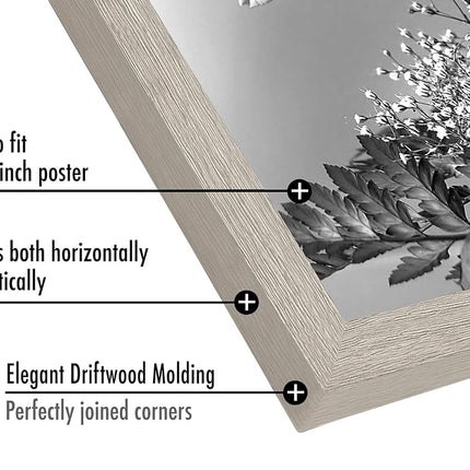 Americanflat 24 x 36 Inch Drift Wood Poster Frame | Polished Plexiglass. Hanging Hardware Included
