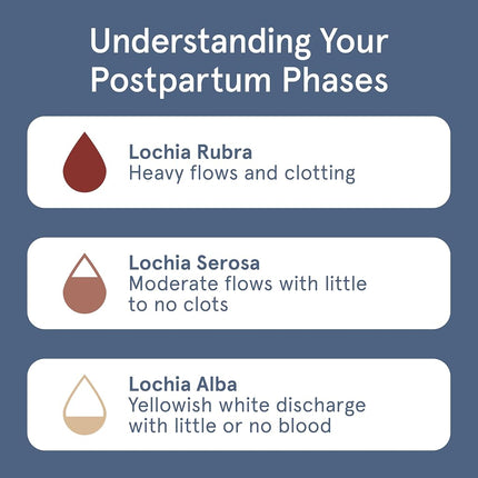 LOLA Organic Cotton Postpartum Pads - Max Absorbency Pads for Postpartum Bleeding - Extra-Long Overnight Liners for Women - Hospital Bag Essentials - 32 Count, Unscented