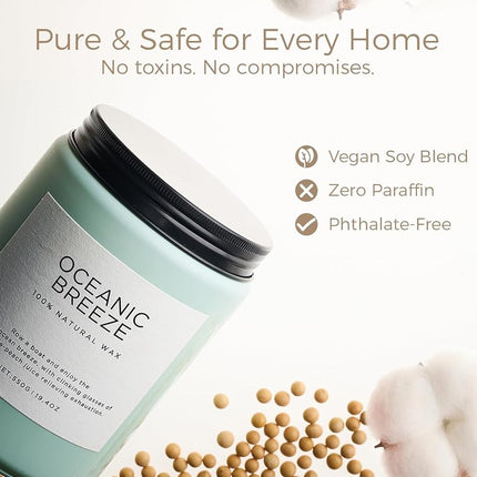 M&SENSE Candle Ocean Breeze Scented, 19.4oz 110 Hour Long Lasting Aromatherapy Candle, 2 Wick Pineapple & Mango Scented Natural Soy Candles for Home Scented, Stress ReliefCandle for Women/Men