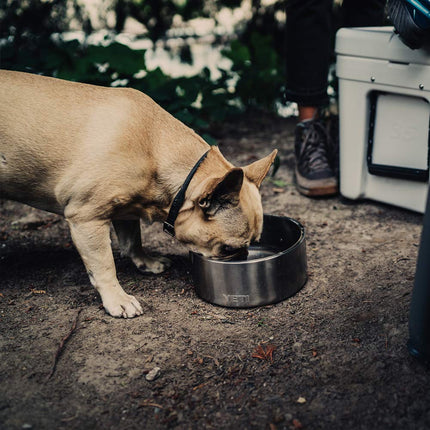 YETI Boomer 8 Stainless Steel, Non-Slip Dog Bowl, Stainless Steel