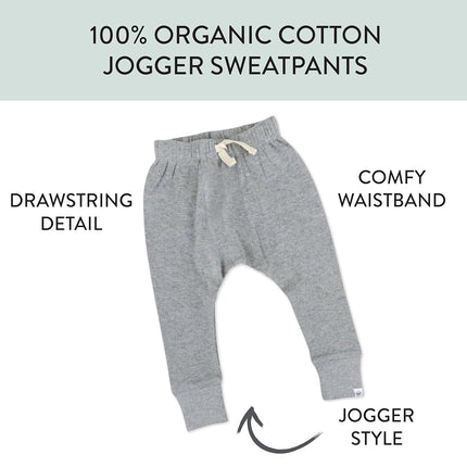 HonestBaby Honest Pants Joggers Pull on 100% Organic Cotton for Infant Baby and Toddler, Boys, Girls, Unisex, Gray Heather, 6-9 Months