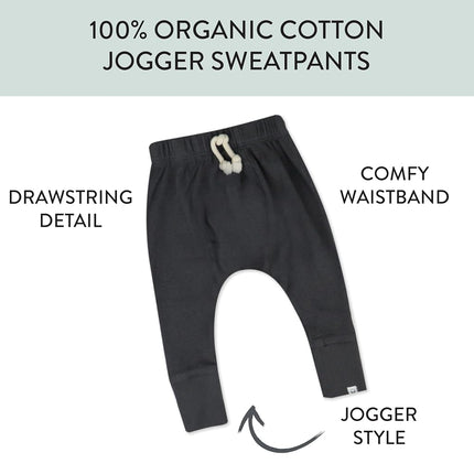 HonestBaby Honest Pants Joggers Pull on 100% Organic Cotton for Infant Baby and Toddler, Boys, Girls, Unisex, Blackened Pearl, 3T