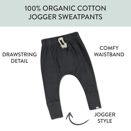 HonestBaby Honest Pants Joggers Pull on 100% Organic Cotton for Infant Baby and Toddler, Boys, Girls, Unisex, Blackened Pearl, 3T