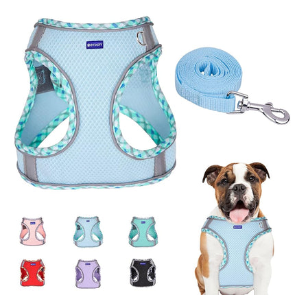 BTDCFY Step in Mesh Dog Harness and Leash Set Brea