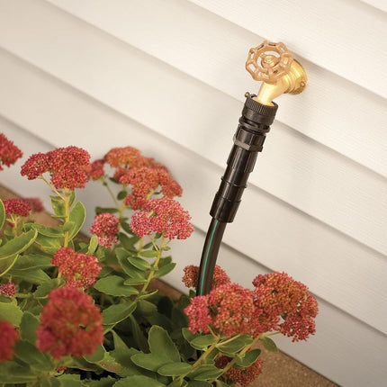 Rain Bird HT075BFFS Drip Irrigation Backflow Preventer and 150 Mesh Filter, 3/4" Female Hose Thread