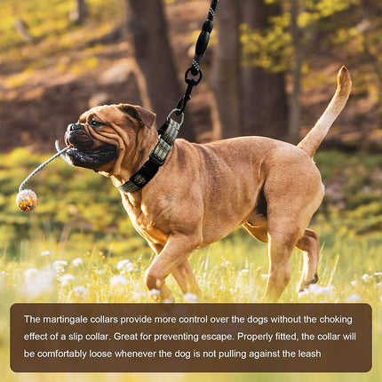 Martingale Collar for Dogs,Reflective Escape Proof,Brown,L