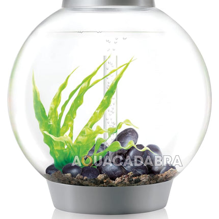 biOrb Classic 60 Acrylic 16-Gallon Aquarium with Multi-Color Remote-Controlled LED Lights Modern Tank for Tabletop Display, Silver