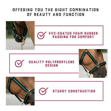 Weaver Leather 35-6065-GR Padded Breakaway Adjustable Chin & Throat Snap Halter, 1" Average Horse or Yearling Draft, Green Striped