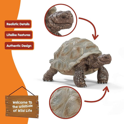 Schleich Wild Life - Giant Tortoise Toy Figurine - Kids Ages 3+ | 14824